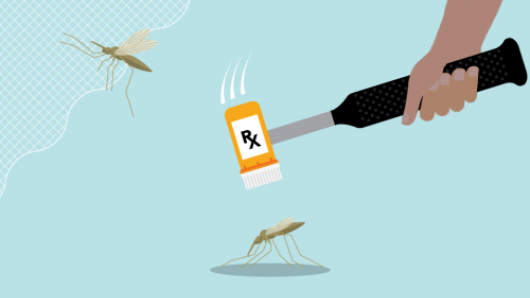 MalariaX: Defeating Malaria from the Genes to the Globe | Harvard University